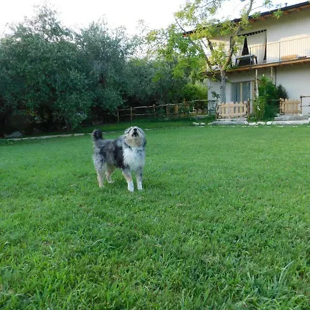 Affittacamere La Casa Di Paglia