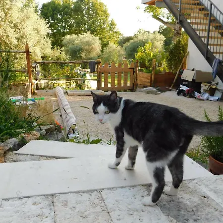 La Casa Di Paglia San Felice del Benaco