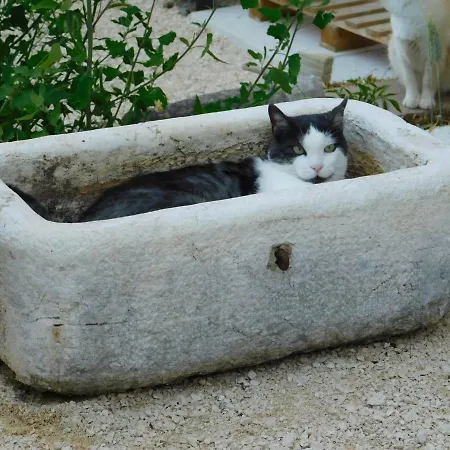 La Casa Di Paglia *